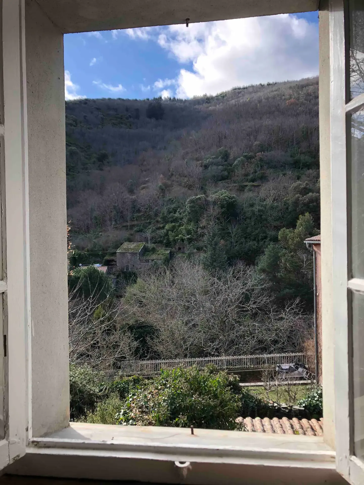 Vue depuis une fenêtre sur la forêt de la Montagne Noire